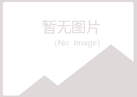 岢岚县梦松能源有限公司